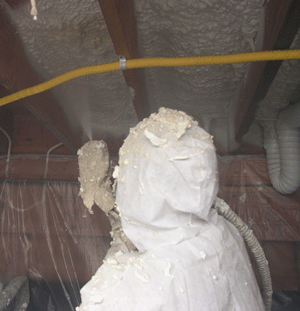 St. John's Labrador crawl space insulation